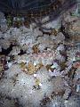 Unter Wasser (41)